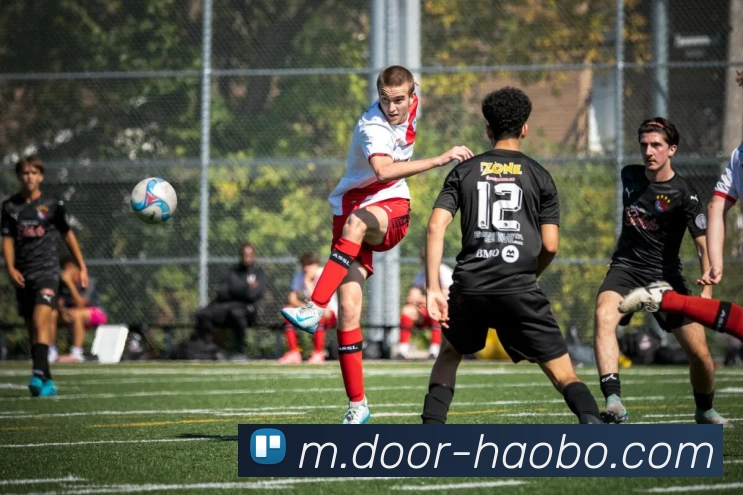 好博体育APP 封面图